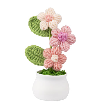 Handwoven Puff Bloom Desk Garden - Gradient Cotton Planter