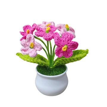 Handwoven Mini Bloom - Cotton Everlasting Planter